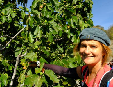 J5 : Verrès qui se mérite…