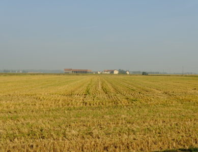 J10 : Vercelli … et son riz