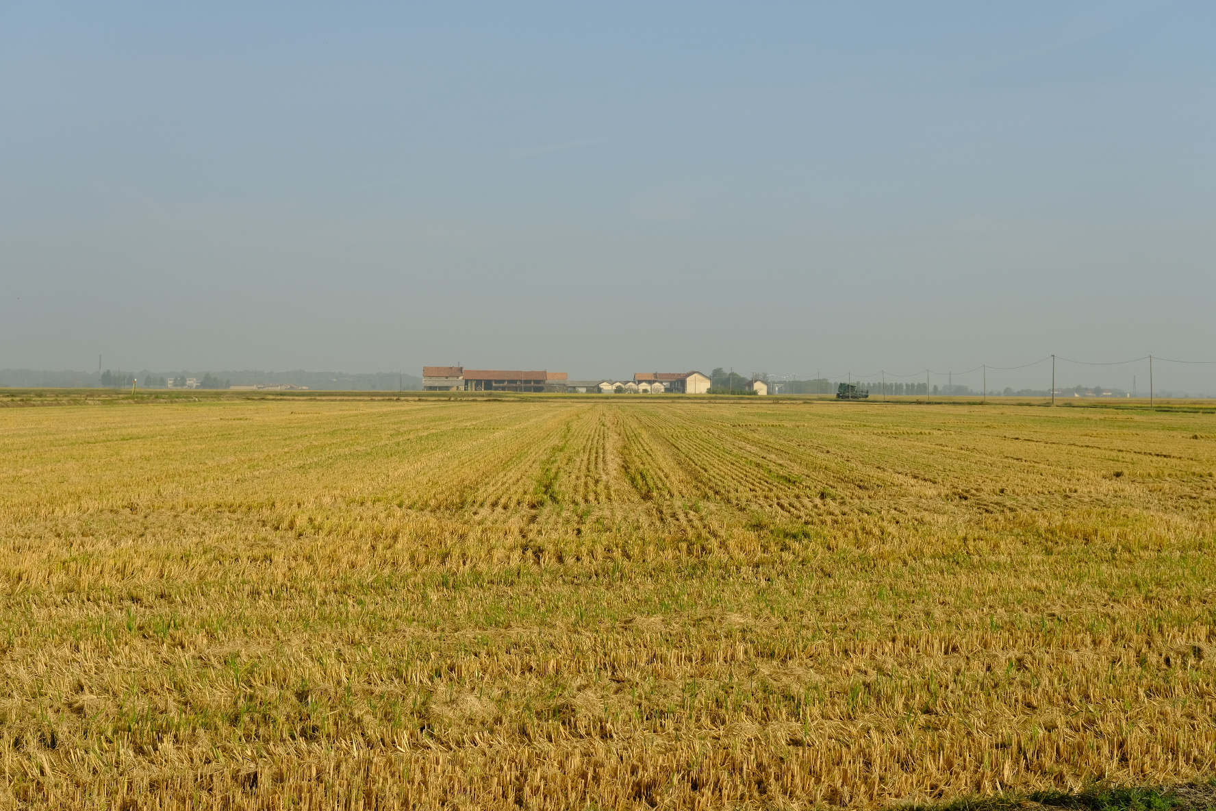 J10 : Vercelli … et son riz